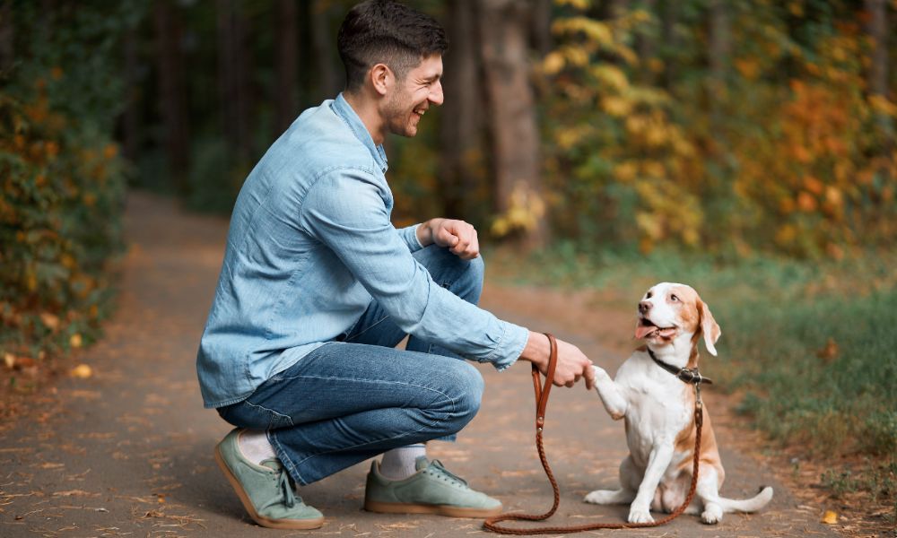 4 Proven Ways To Boost Confidence in Your Dog
