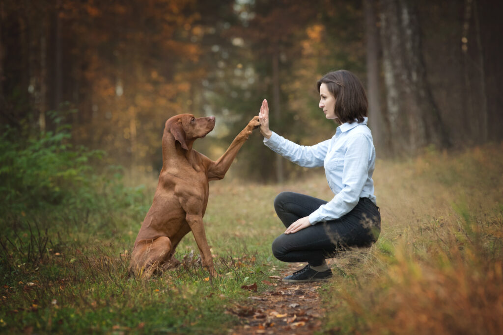 A woman and her dog are facing each other in a wooded area. The dog is giving the woman a high five.