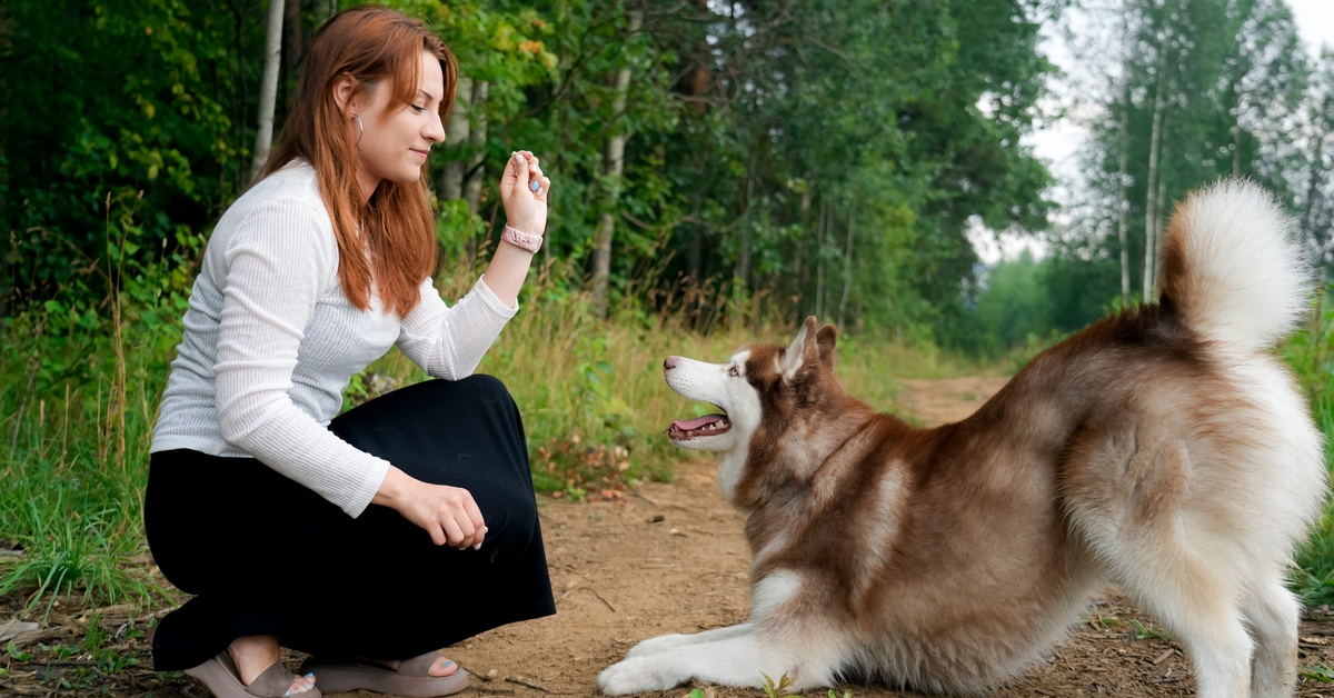 A woman and her golden retriever in a park. She crouches on a paved path, and the dog gives her its paw.