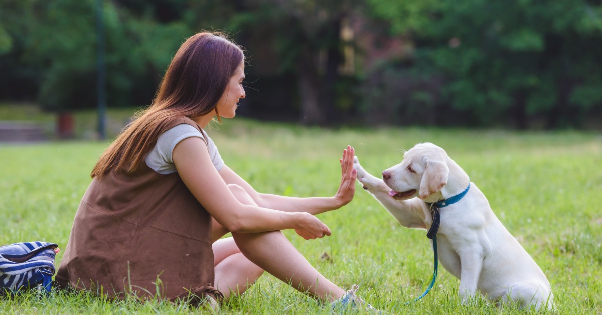 A woman gives a high five to a yellow Labrador puppy as they both sit in a grassy area in front of trees.